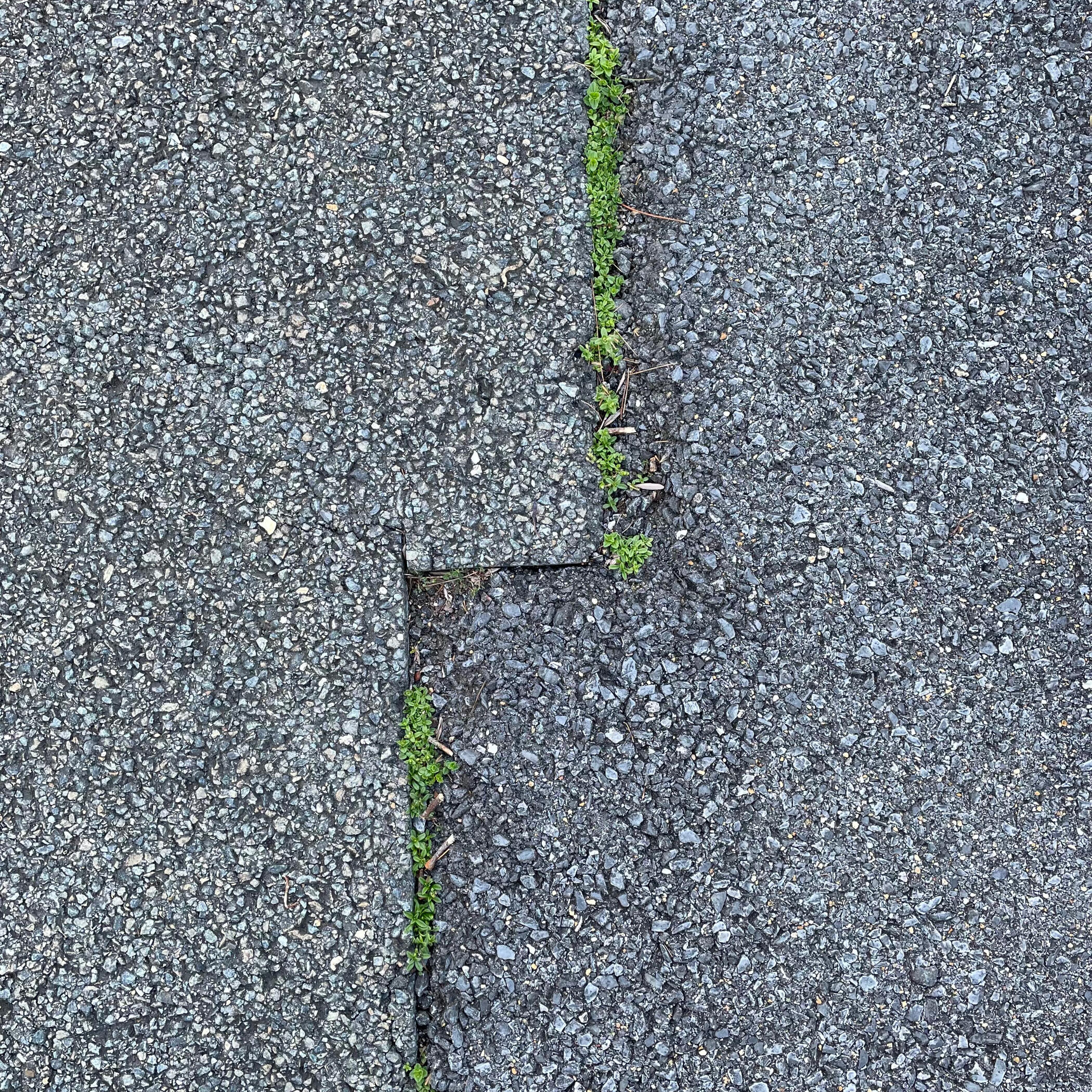 Cracked asphalt pavement with a layer of asphalt that flowed and hardened over some of the cracks.